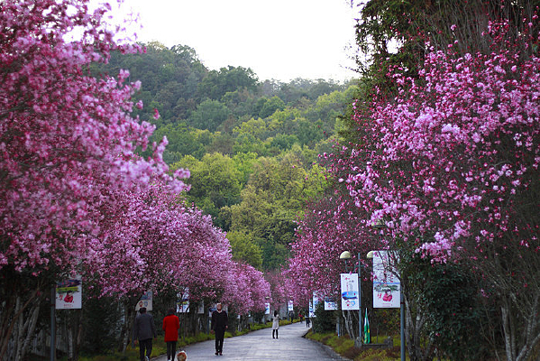 ŭ�������Ĵ�˿����