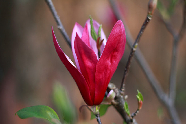 Ư������������