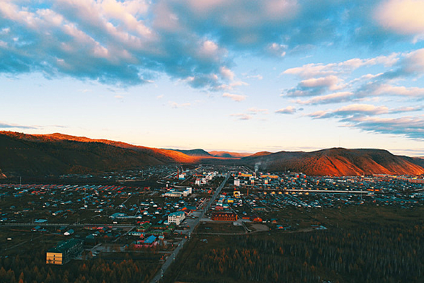 ɭ��С��ĺɫ 