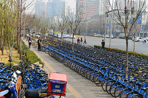 ��ͷ��С����������