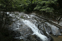 ɽ�е�С�ٲ�