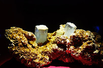 ������ʯ 