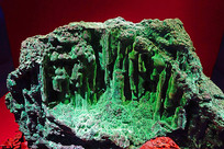 ������������ȸʯ 