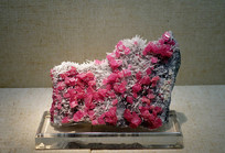 ���̿��ˮ�� 