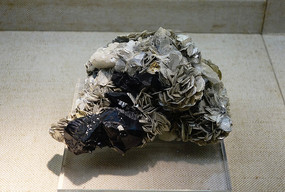ĸʯ ʯ