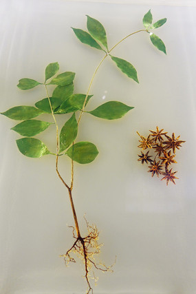 �˽����� 