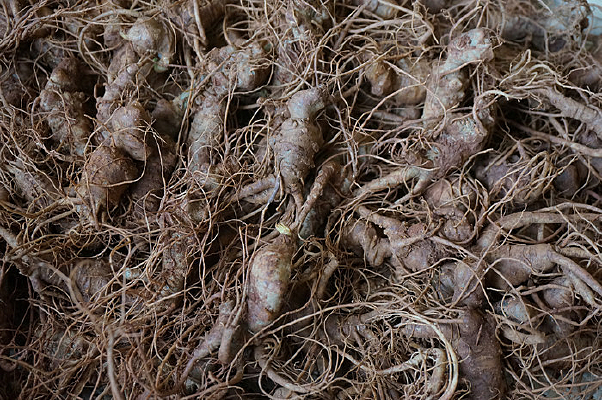 ����������ɽ������ͼƬ