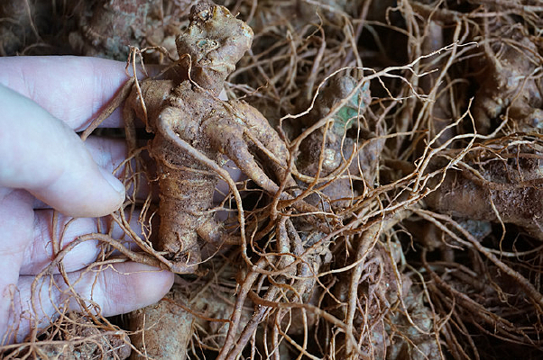 ����������������ͼƬ