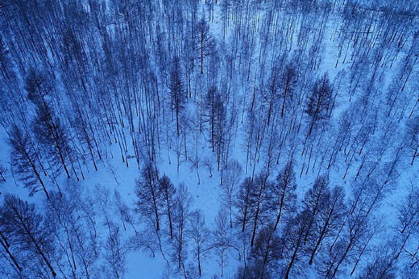 �����ֺ�ѩԭ