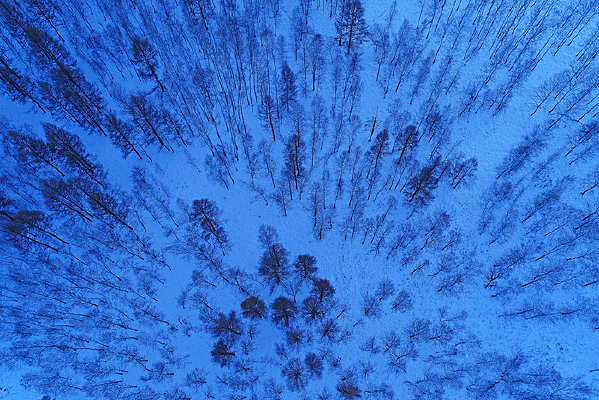 ��ɫ������ѩ�� �����ģ� 