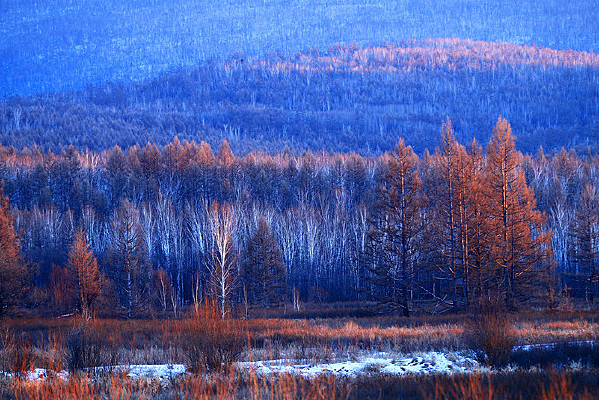 ���˰����ֺ�ѩԭ