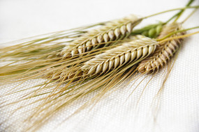 �������