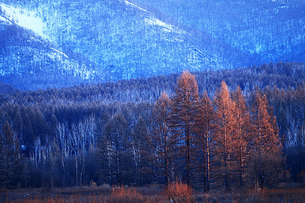 �ֺ�ѩԭɽ��ѩ��