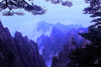 Զ��������Ͽ��