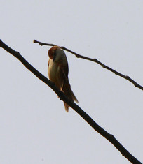 ������ر���ȸ