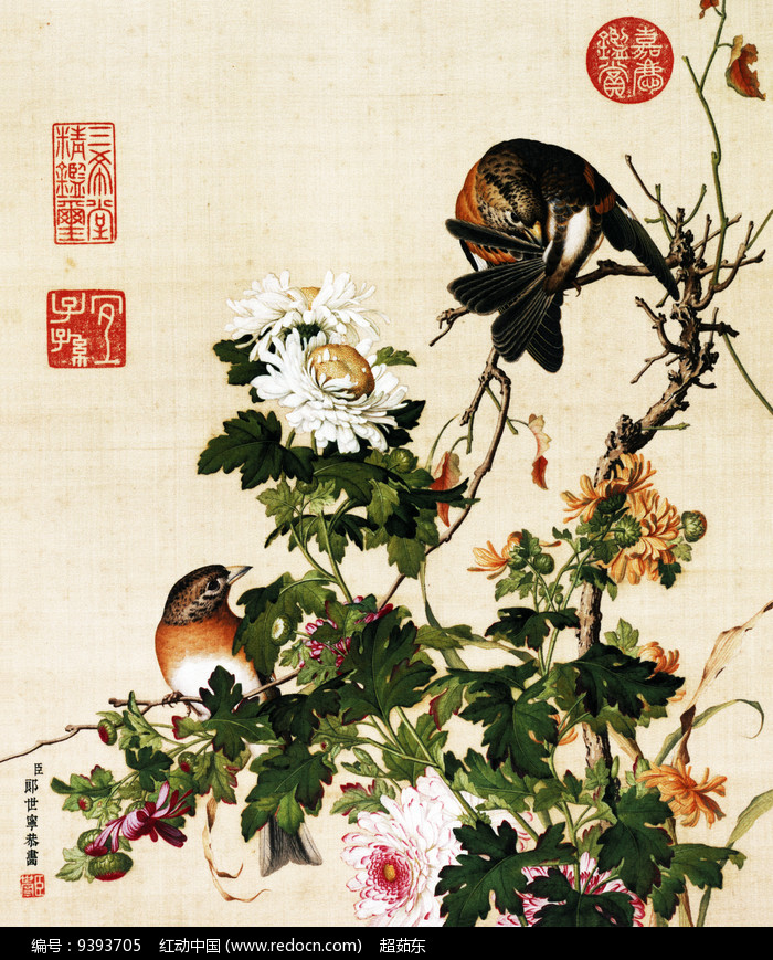 郎世寧菊花圖