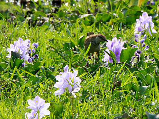 һ���������ر���ȸ