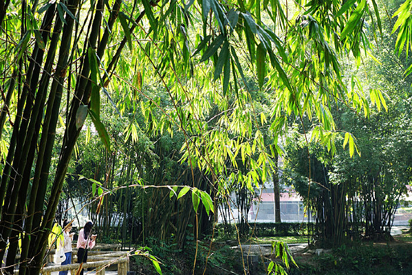 ���ֵĴ��� 