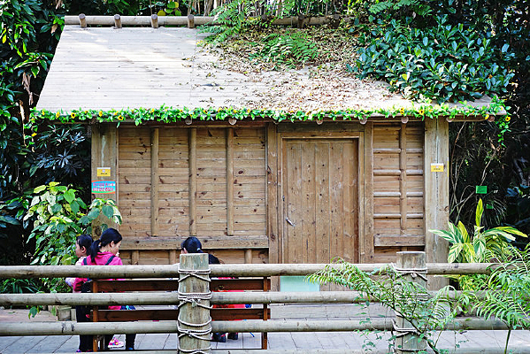 ����Сľ�� 