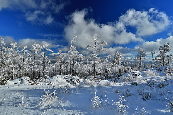 ���������������ڡ