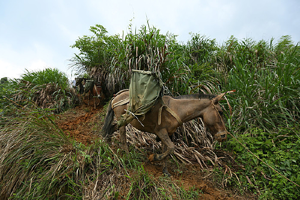 ɽ��Ķ�������