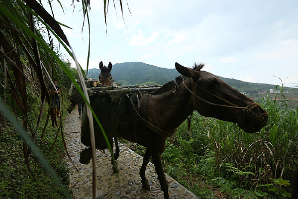 ���ߵ���