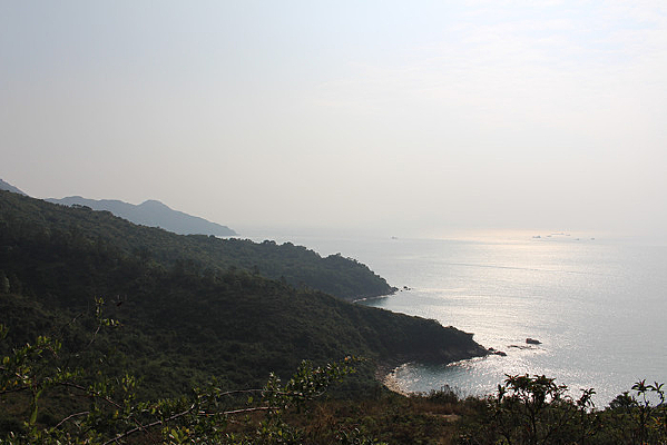 �����ĺ���