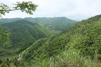 ��ɽ����