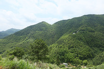 ��ɽ����˼�