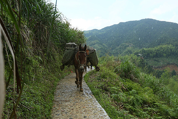 ��������������