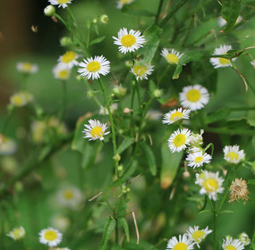 �ջ�����