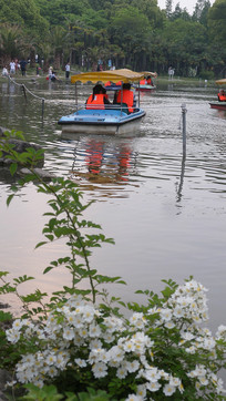 ��ȫ����