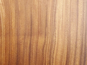 ����ľ��