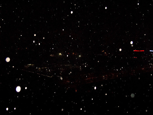 �����ҹ��