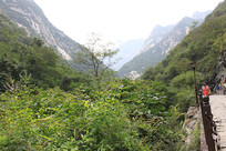 ��ɽ����