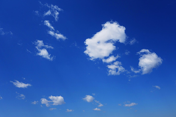 �����ƶ�