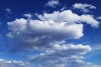 �����ƾ�