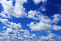 ������Ʒ羰