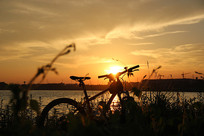 Ϧ����ƽ���ĺ���