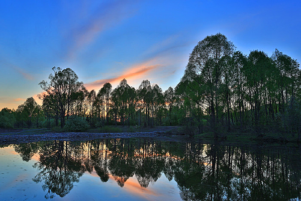 ���˰������ĺɫ