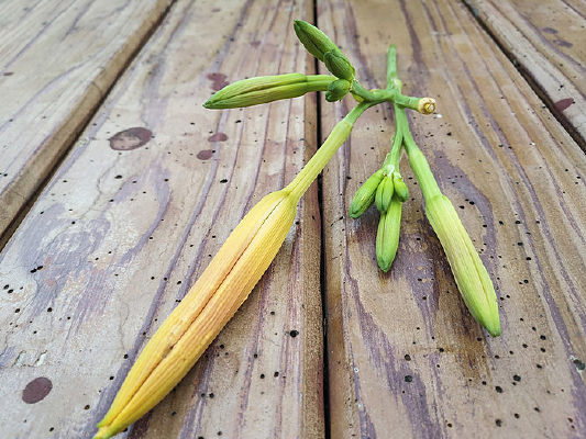 �ƻ����Ƕ�