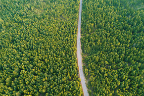 ��Խ��ɫ�ֺ���ɽ�ֹ�· 