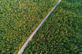 ���˰����ɽ�ֹ�·�����ģ�