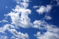 �����ƾ�