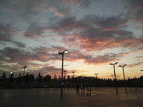 ��ϼ�µ�����