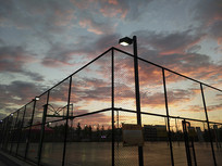 ���Ժ����