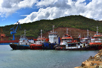 ����������ִ�ͣ���ڰ���