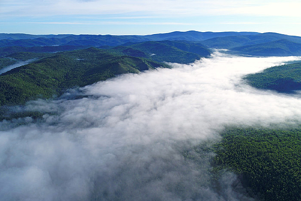 ����ɽ��