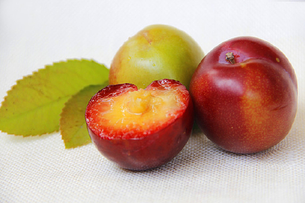 ˮ������