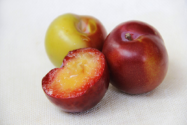 �ʹ�����